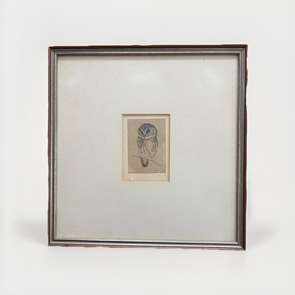 Owl Original samuel owen 1769 to 1857 signed