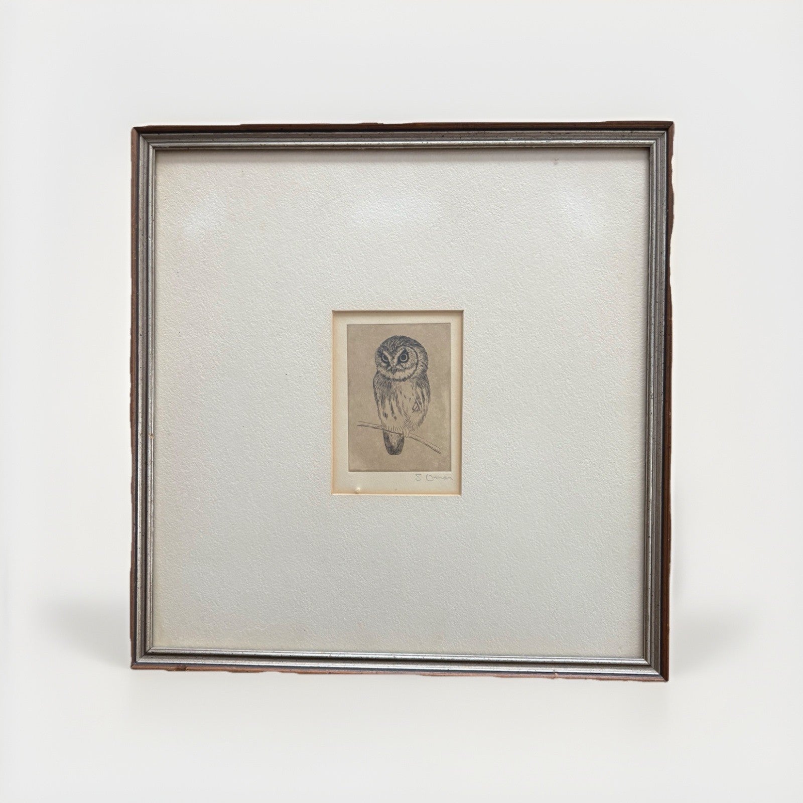 Owl Original samuel owen 1769 to 1857 signed