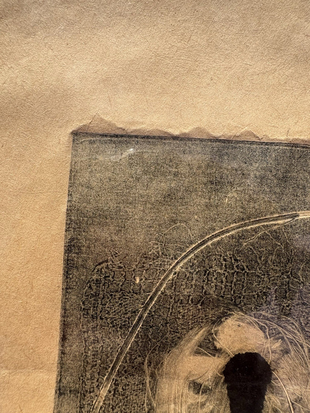 “White Lace and Roses” A/P Mid-Century Monoprint by Thornton, Zinc Plate