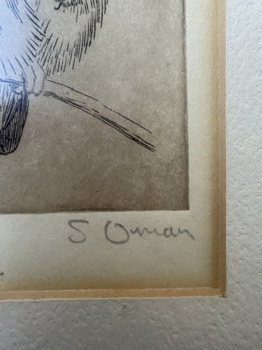 Owl Original samuel owen 1769 to 1857 signed
