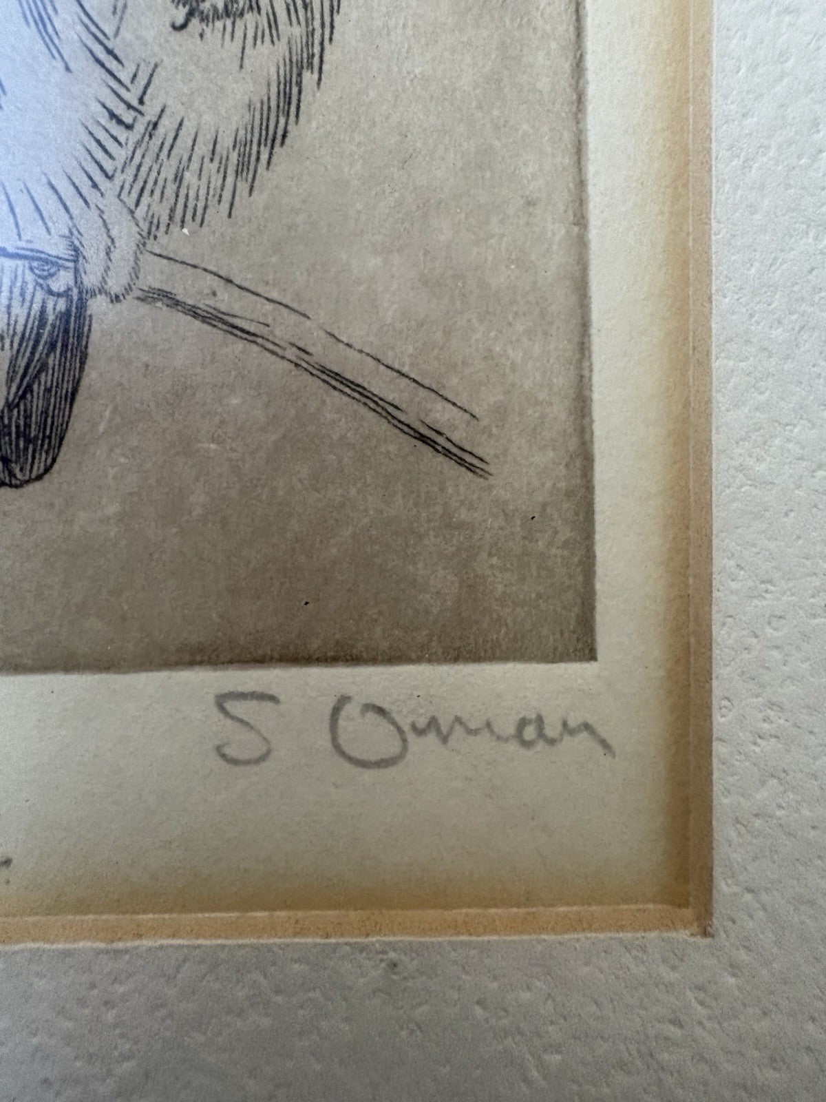 Owl Original samuel owen 1769 to 1857 signed