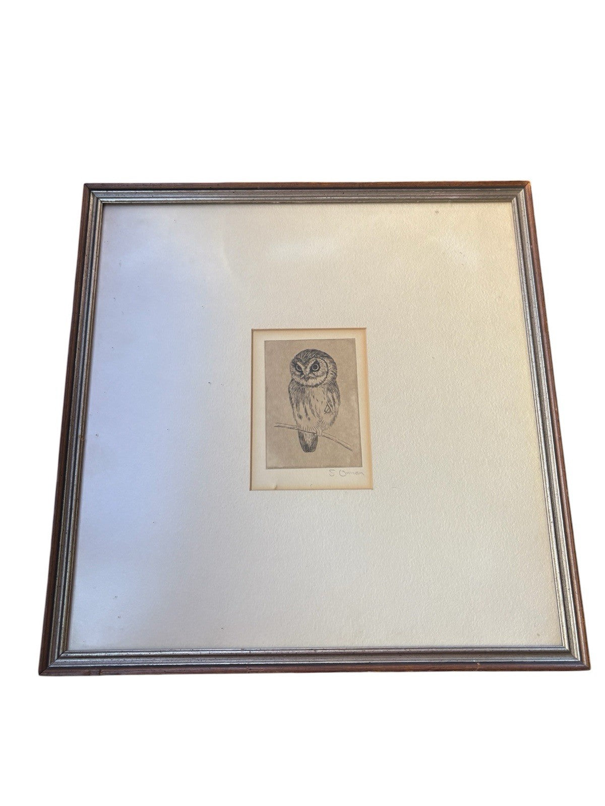 Owl Original samuel owen 1769 to 1857 signed