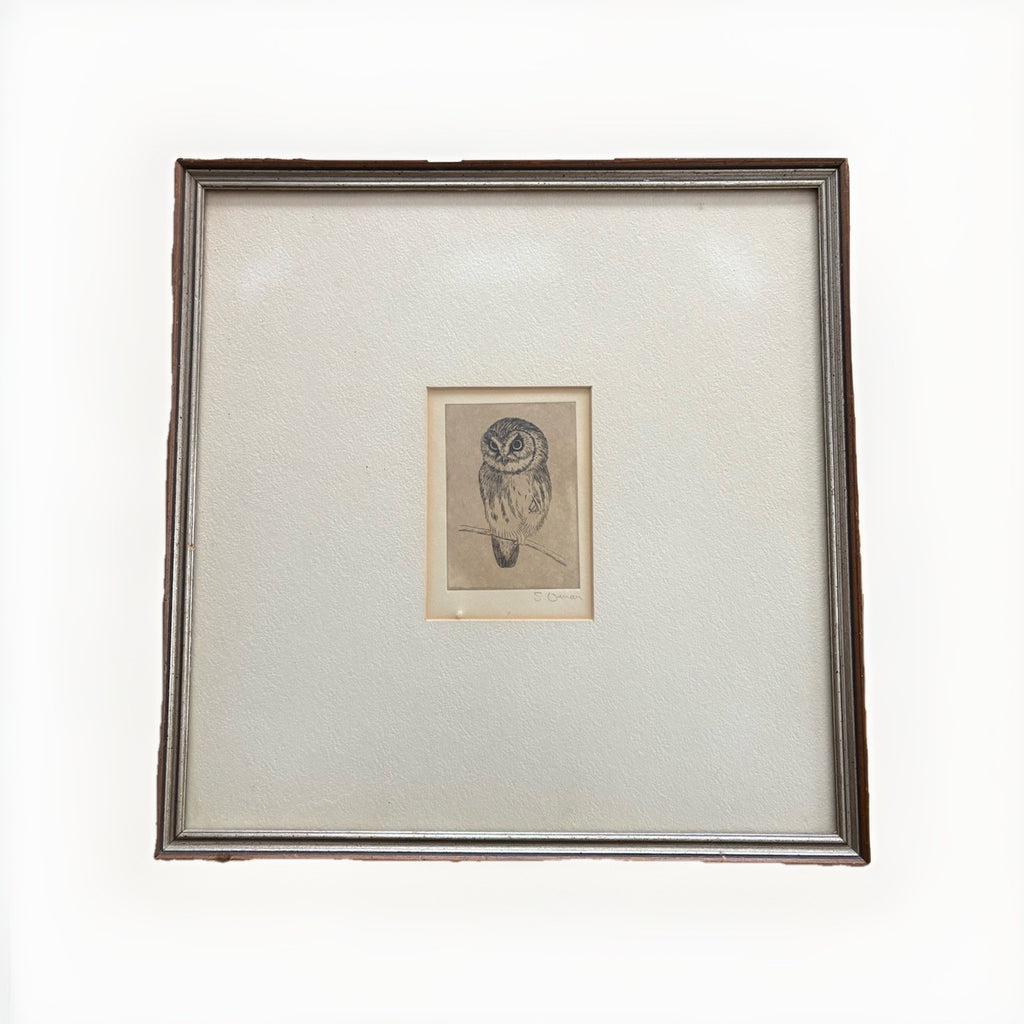 Owl Original samuel owen 1769 to 1857 signed