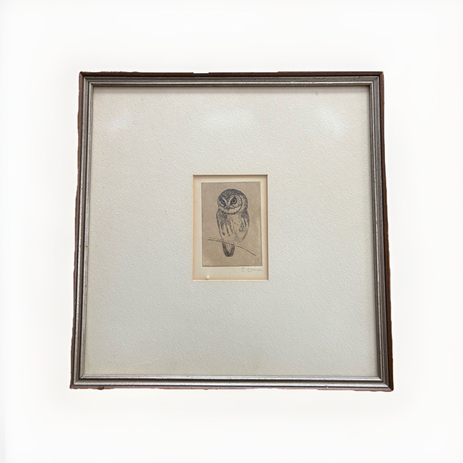 Owl Original samuel owen 1769 to 1857 signed