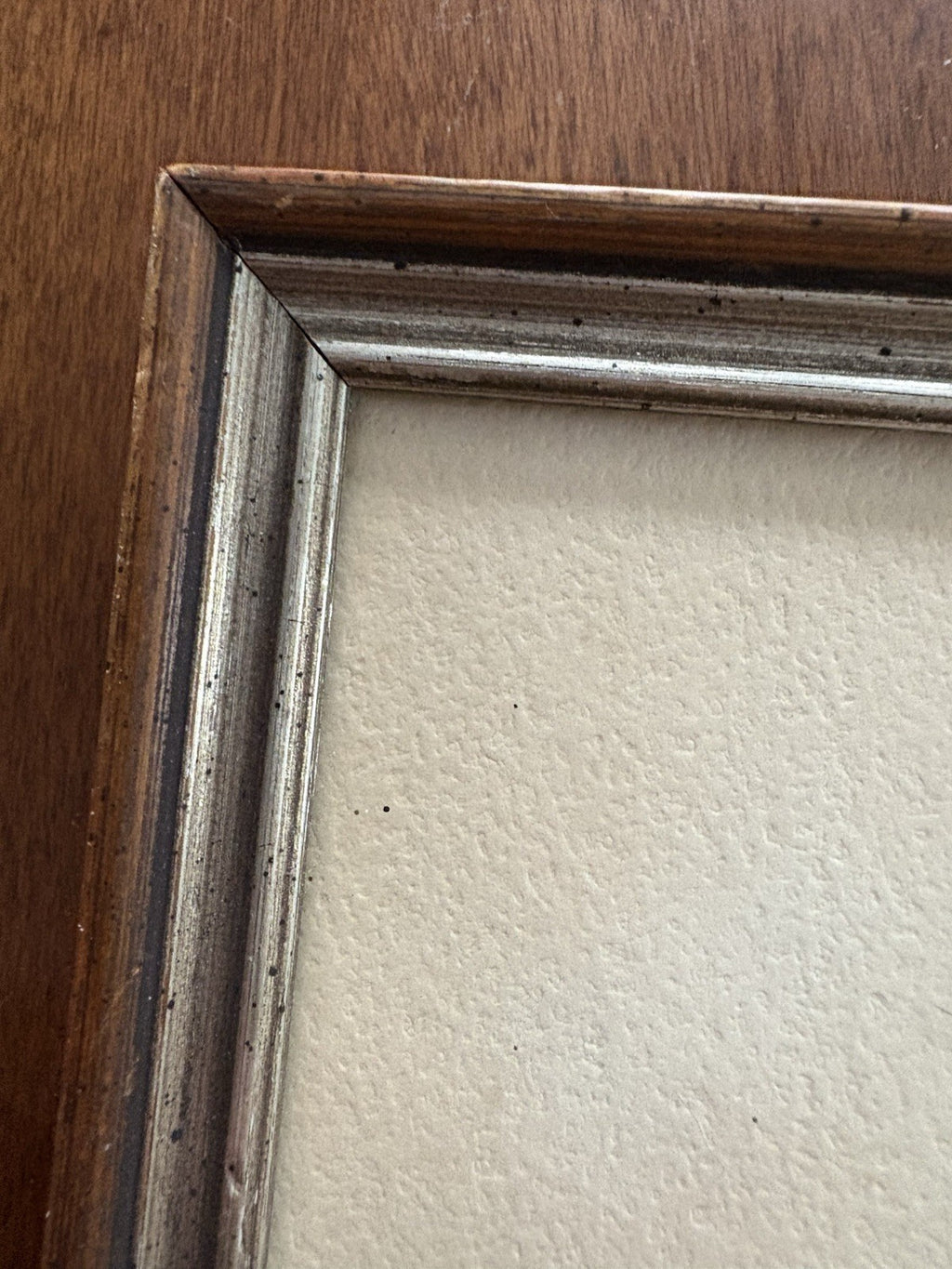 Owl Original samuel owen 1769 to 1857 signed