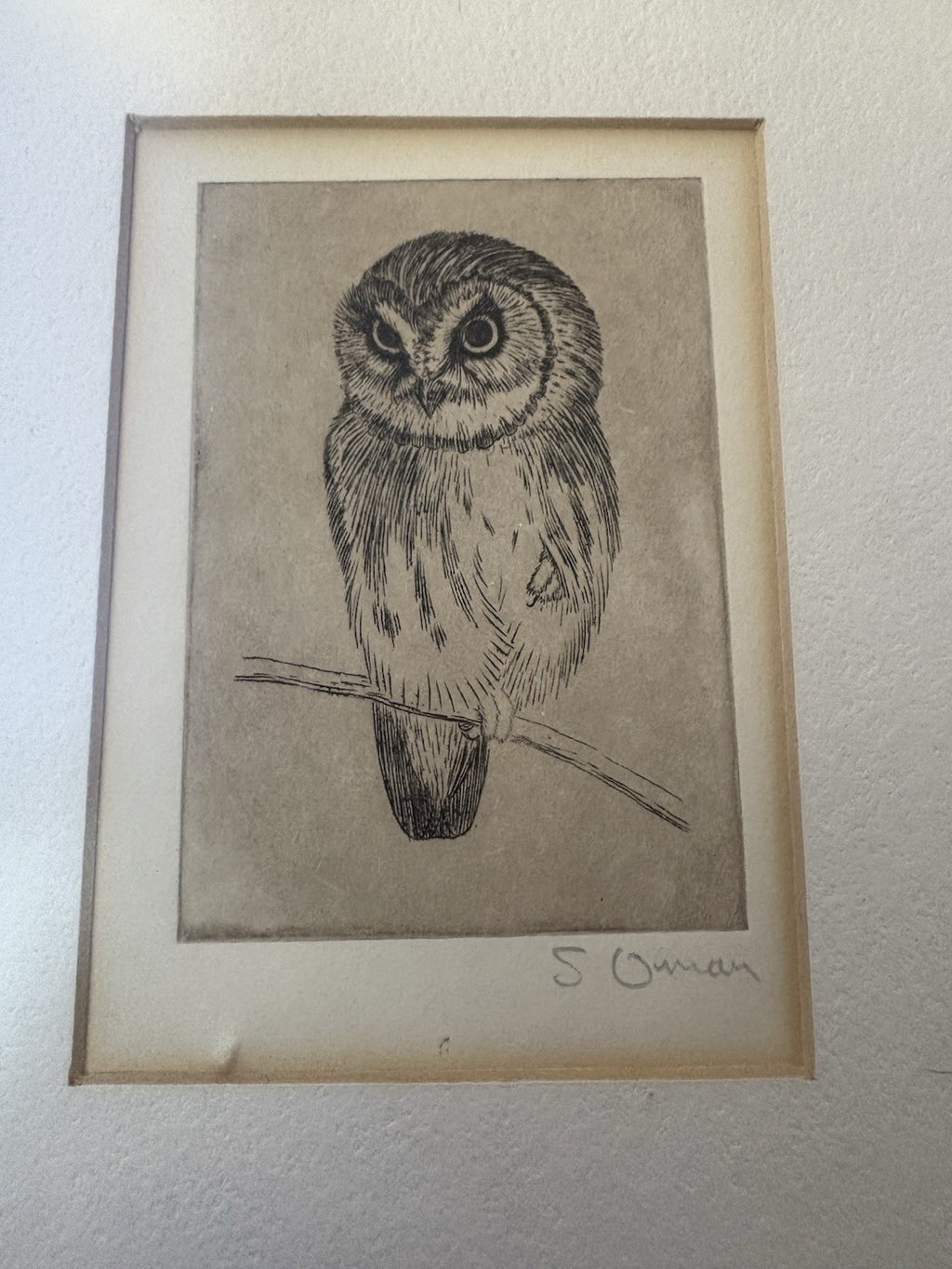 Owl Original samuel owen 1769 to 1857 signed
